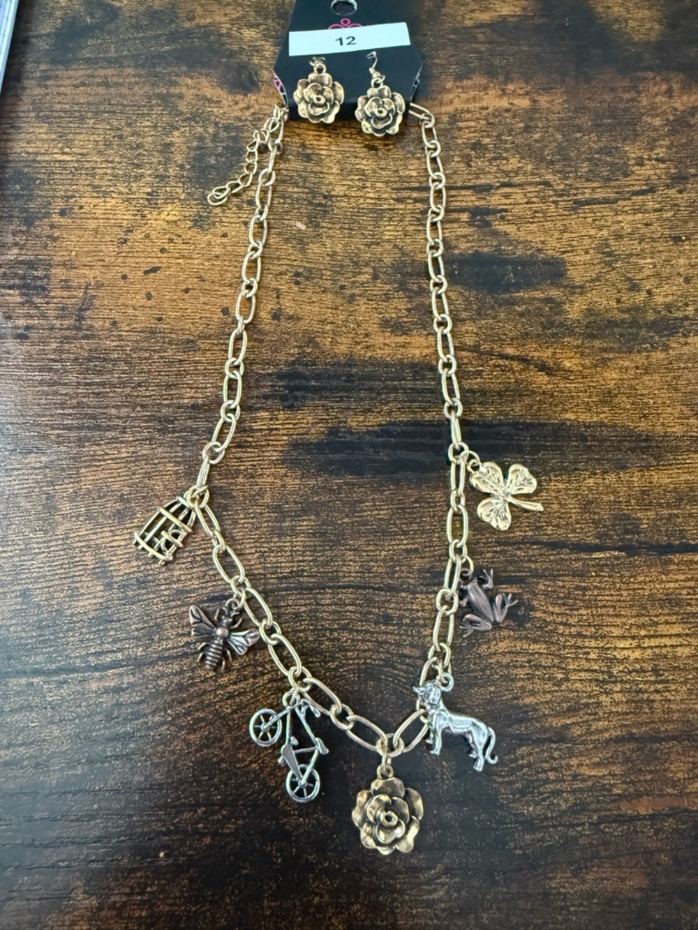 paparazzi Gold-Tone Charm Necklace and Earrings Set